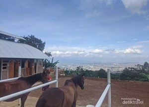 Tempat Berkuda dengan Pemandangan Kota Bandung