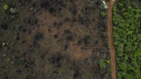 Taman Nasional Brasilia sempat terbakar hebat beberapa bulan terakhir.  