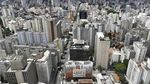 Mural Kekeringan Hutan Amazon Hiasi Gedung di Brasil