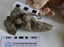 Ilmuwan Ungkap Isi Fosil Telur Dinosaurus Terkecil di China
