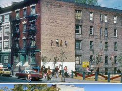 Bikin Melotot! Potret Lokasi Dulu Vs Sekarang Makin Hijau