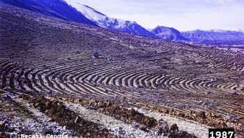 Penghutanan Uluborlu, Isparta Di Turki (Perbedaan 34 Tahun) Foto: Boredpanda