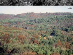 Bikin Melotot! Potret Lokasi Dulu Vs Sekarang Makin Hijau