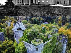 Bikin Melotot! Potret Lokasi Dulu Vs Sekarang Makin Hijau