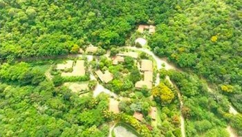 Sepasang suami istri memutuskan untuk membangun kembali sebidang tanah kosong mereka seluas 600 hektar di Aimorés, Brasil. Mereka menanam lebih dari 2 juta pohon muda. Hasilnya, situs tersebut memiliki 293 spesies tanaman, 172 spesies burung dan 33 spesies hewan, beberapa di antaranya berada di ambang kepunahan. Butuh 18 tahun Foto: Boredpanda