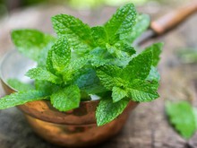 Infografis: 5 Aroma Segar Alami untuk Tingkatkan Kewaspadaan