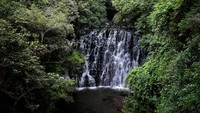Potret air terjun Gajah di Shillong yang rami jadi destinasi pilihan di wilayah tersebut. (Getty Images)