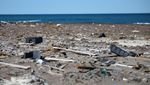 Pilu Satwa Laut di Patagonia Argentina Terancam Sampah Plastik