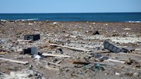 Apa yang disebut mikroplastik kemudian dapat tertelan oleh kehidupan laut, dan kemudian, oleh manusia.