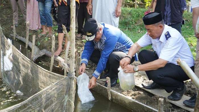 Pj Gubernur Sulbar Beri Bantuan Bibit Nila-Pohon