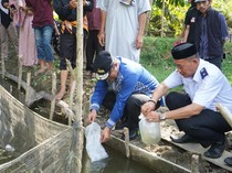 Ke Desa Pammulukang, Pj Gubernur Sulbar Beri Bantuan Bibit Nila-Pohon