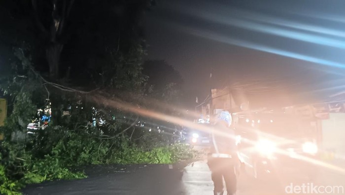 Pohon tumbang di Kelapa Dua, Depok, Rabu (23/10/2024) pukul 18.30 WIB.