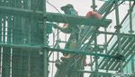 Intip Progres Proyek LRT Jakarta Fase 1B di Jalan Pramuka