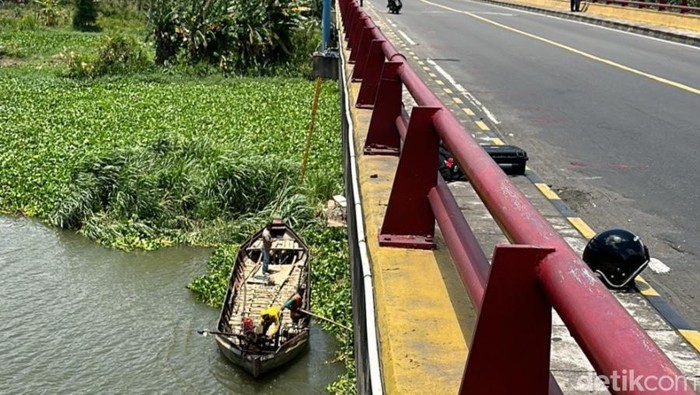 Uji Jembatan Semampir Kota Kediri tertunda gegara banyaknya enceng gondok
