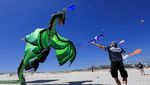 Wow! Ada Naga Terbang di Langit Afrika Selatan