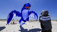Festival Layang-layang Internasional Cape Town yang akan digelar akhir pekan ini adalah gelaran ke-30.  