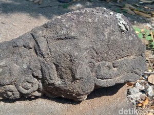 Batu Diduga Kepala Arca Dicor Semen Ditemukan di Pekarangan Warga Klaten