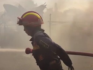 Video Viral 2 Petugas Wanita Damkar Bogor Dilempar Batu saat Bertugas