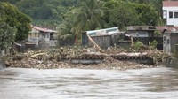 Pemerintah menutup sekolah dan kantor di seluruh Luzon untuk melindungi warga saat Badai Tropis Trami mendekat. Satu orang tewas akibat tertimpa cabang pohon di Masbate, dan tujuh orang lainnya, termasuk nelayan, dilaporkan hilang. (AP Photo/John Michael Magdasoc) 