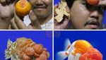 Kreatif! 10 Potret Makanan Hasil Cosplay yang Bikin Ngakak