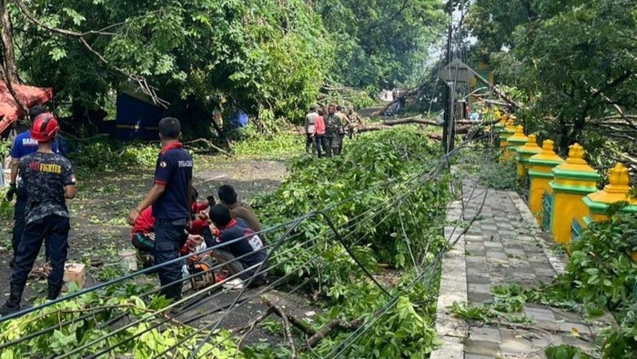 Pembersihan pohon tumbang imbas angin puting beliung di Muara Enim.