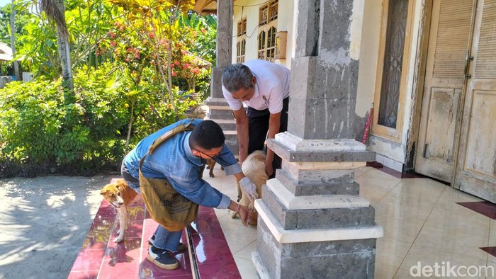 Petugas melakukan vaksinasi rabies di wilayah Desa Mendoyo Dauh Tukad, Kecamatan Mendoyo, Kabupaten Jembrana, Kamis (17/10/2024).