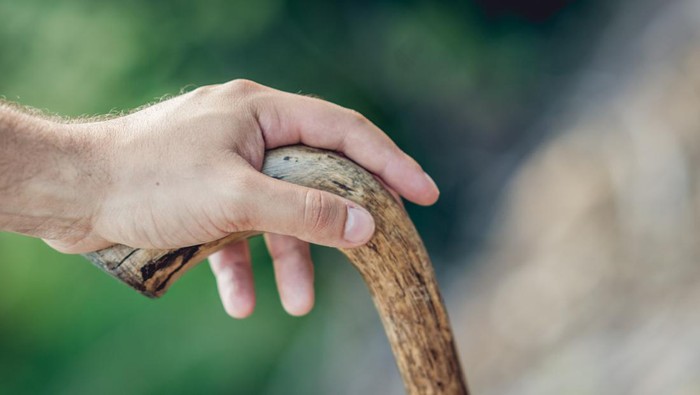 Hand holding a stick.