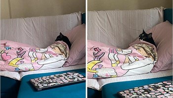 Kucingnya jago akting, nih. Foto: Cats are A*sholes via Bored Panda