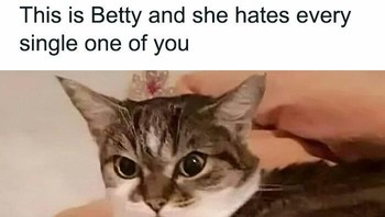 Betty benci semua orang. Foto: Cats are A*sholes via Bored Panda