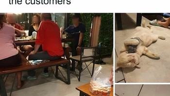 Bobby caper, minta diperhatiin orang. Foto: Cats are A*sholes via Bored Panda