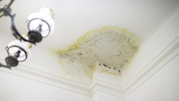 A stain on the ceiling in the apartment from flooding by the upstairs neighbors. Water leak damage. Insurance claiming case. Flooding by neighbors.  Insurance case.