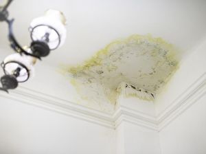Cara Ampuh Hilangkan Jamur pada Plafon Kamar Mandi