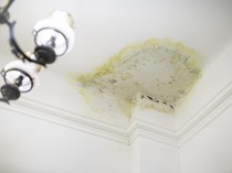 Cara Mudah Hilangkan dan Cegah Jamur Tumbuh di Langit-langit