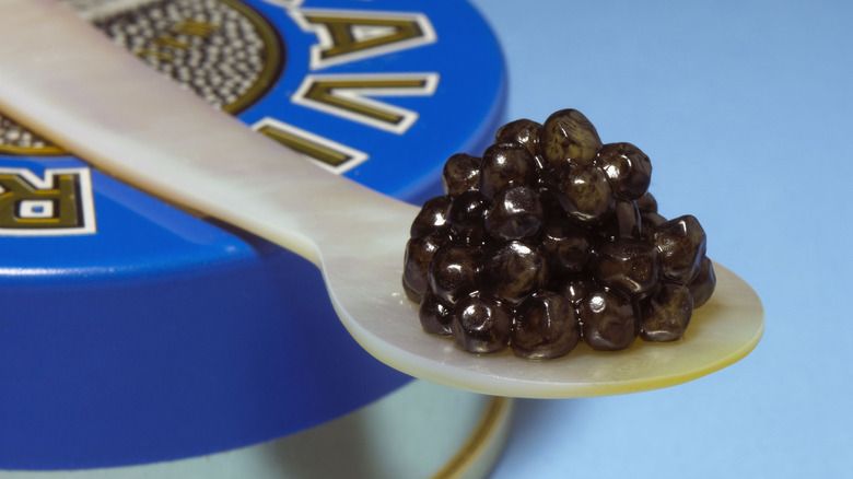 Caviar