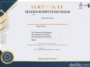 Tutorial Cara Download Sertifikat SKD CPNS 2024 dan Link Aksesnya