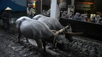 Peringatan Harmusindo dengan tema Museum untuk Indonesia tersebut diisi dengan kegiatan pameran bersama museum se-Bogor, talkshow dan pentas seni.  