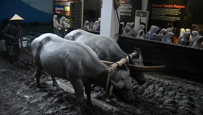 Sejumlah pengunjung mengamati jenis-jenis padi di Indonesia saat peringatan Hari Museum Indonesia (Harmusindo) tahun 2024 di Museum Tanah dan Pertanian, Kota Bogor, Jawa Barat, Jumat (25/10/2024). Peringatan Harmusindo dengan tema Museum untuk Indonesia tersebut diisi dengan kegiatan pameran bersama museum se-Bogor, talkshow dan pentas seni untuk meningkatkan kesadaran masyarakat tentang nilai-nilai sejarah dan budaya yang terkandung dalam koleksi museum. ANTARA FOTO/Arif Firmansyah/nym.