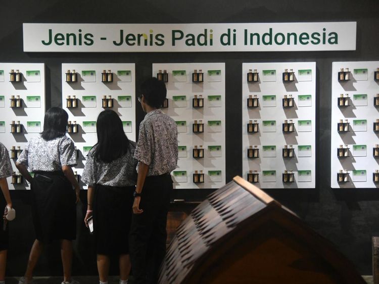 Intip Peringatan Hari Museum Indonesia di Bogor