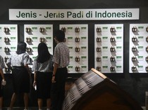 Intip Peringatan Hari Museum Indonesia di Bogor