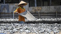 Pekerja menjemur ikan asin di Muara Angke, Jakarta, Jumat (25/10/2024).