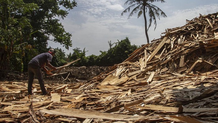 Limbah Kayu Disulap Jadi Bahan Bakar Biomassa Seorang petugas PLTU memeriksa leburan uang kertas di PLTU Bolok, Kabupaten Kupang, Nusa Tenggara Timur (NTT), Selasa (8/10/2024). PT PLN (Persero) Unit Induk Wilayah NTT dan Kantor Perwakilan Bank Indonesia (BI) Provinsi NTT memanfaatkan limbah operasional BI yakni uang lusuh yang telah dileburkan dalam program co-firing biomassa sebagai pengganti batu bara pada rasio tertentu di PLTU Bolok untuk menghasilkan energi listrik serta mendukung target energi bersih di Indonesia. ANTARA FOTO/Mega Tokan/sgd/Spt.