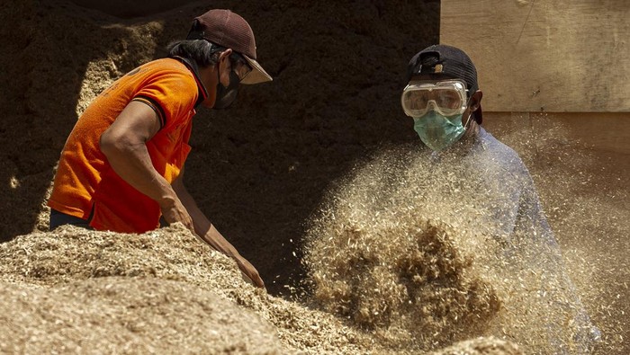 Limbah Kayu Disulap Jadi Bahan Bakar Biomassa Seorang petugas PLTU memeriksa leburan uang kertas di PLTU Bolok, Kabupaten Kupang, Nusa Tenggara Timur (NTT), Selasa (8/10/2024). PT PLN (Persero) Unit Induk Wilayah NTT dan Kantor Perwakilan Bank Indonesia (BI) Provinsi NTT memanfaatkan limbah operasional BI yakni uang lusuh yang telah dileburkan dalam program co-firing biomassa sebagai pengganti batu bara pada rasio tertentu di PLTU Bolok untuk menghasilkan energi listrik serta mendukung target energi bersih di Indonesia. ANTARA FOTO/Mega Tokan/sgd/Spt.