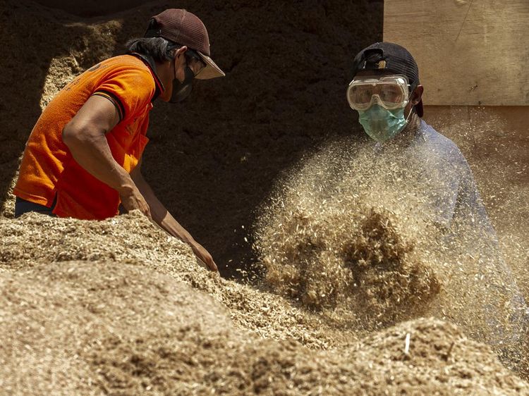 Limbah Kayu Disulap Jadi Bahan Bakar Biomassa