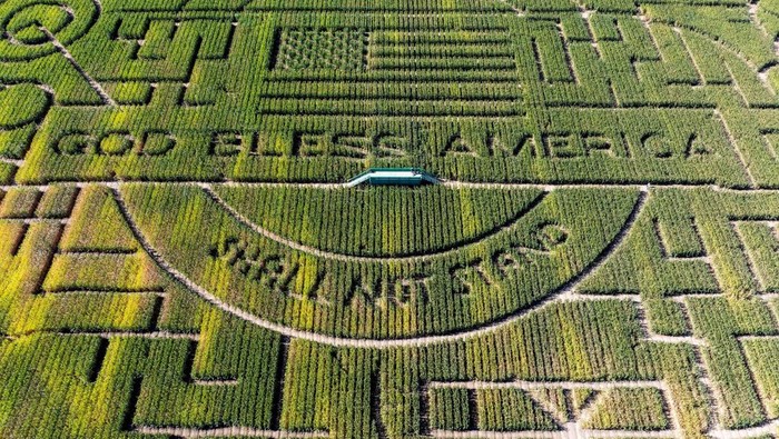 A couple shares a kiss while navigating one of the world's largest corn mazes, at Cool Patch Pumpkins in Dixon, California, U.S. October 24, 2024. REUTERS/Fred Greaves