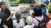Pengunjung melihat fosil dinosaurus pertama yang ditemukan di Pulau Port di Hong Kong, Jumat (25/10/2024).