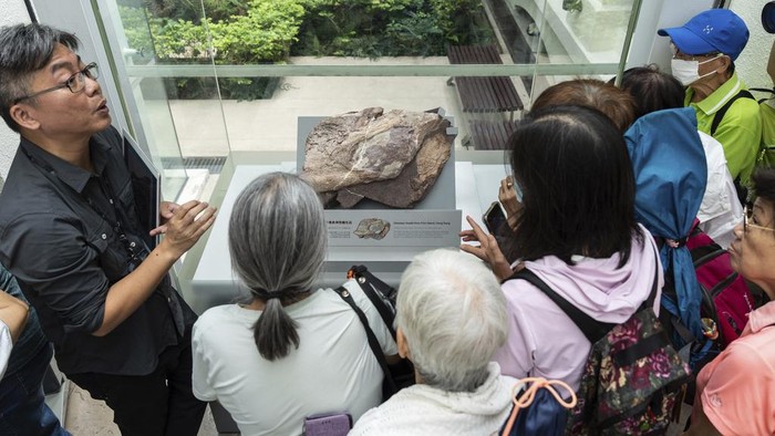 Para ilmuwan menemukan fosil dinosaurus di Hong Kong untuk pertama kalinya. Penemuan itu diumumkan langsung oleh pemerintah kota pada Rabu (23/10).