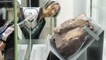 Penampakan Fosil Dinosaurus Pertama yang Ditemukan di Hong Kong