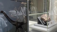 Port Island merupakan bagian dari Geopark Global UNESCO seluas 150 km persegi di Hong Kong. Pulau terpencil itu telah ditutup mulai hari Rabu untuk penggalian lebih lanjut.