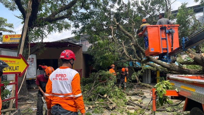 pohon tumbang di malang timpa warung