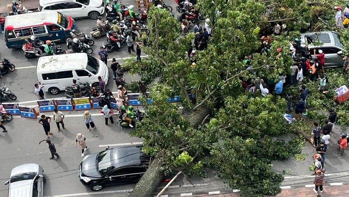 Pohon tumbang di Medan